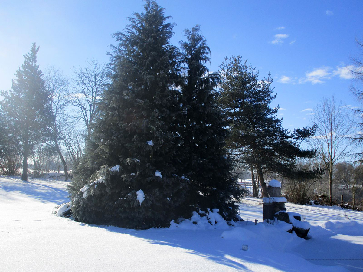 la-maison-leparc-hiver-06